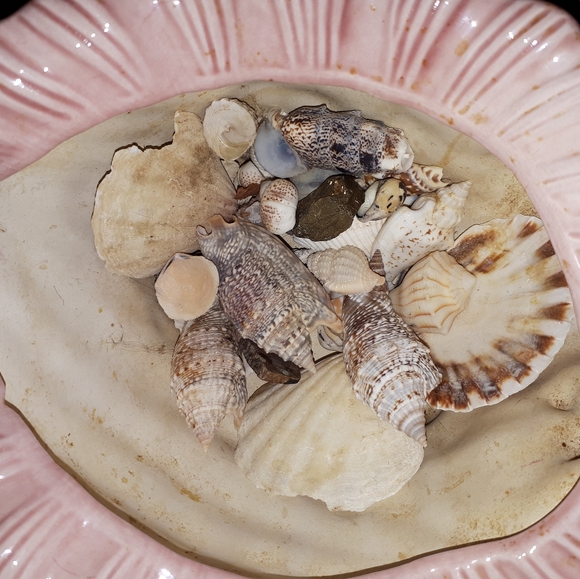 Vintage ceramic conch - Picture 8 of 8